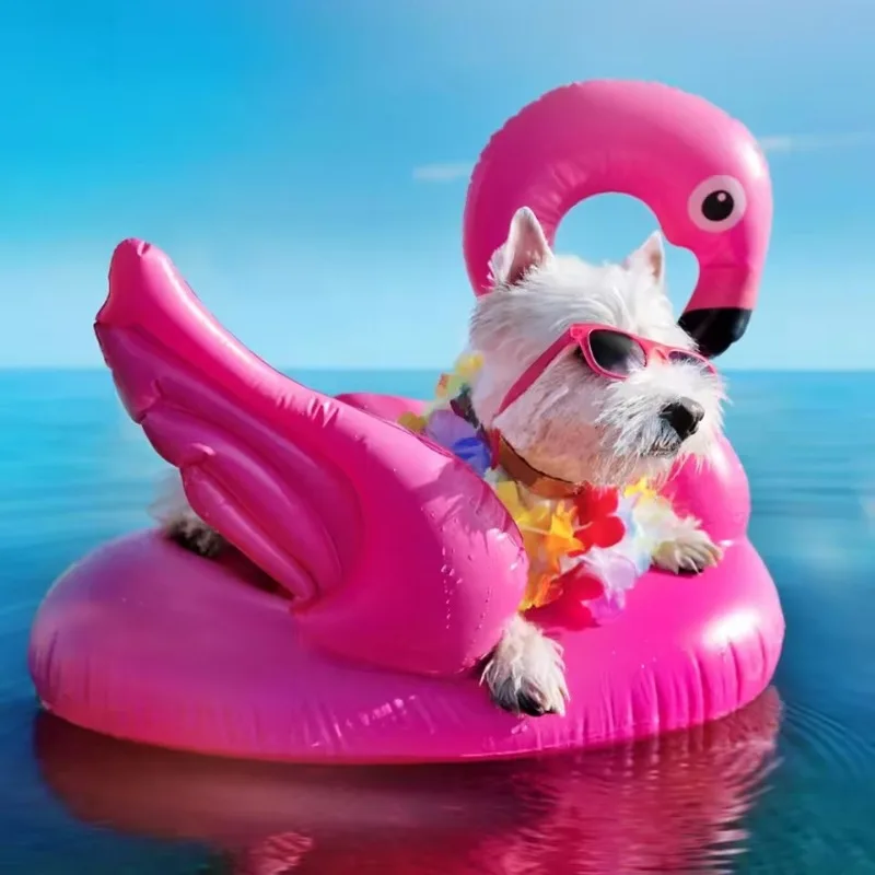 Jouets de piscine gonflables p - Baby Swimming Floater avis et prix